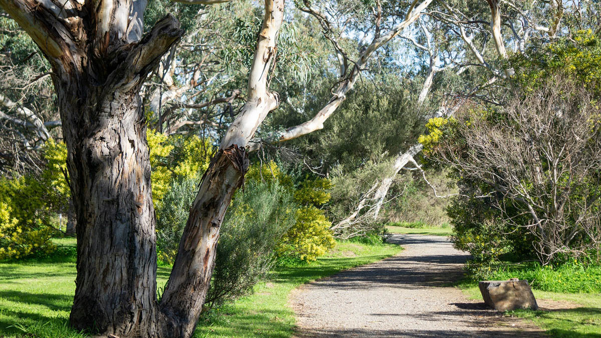 Ride of the Month: Inman River Family Loop 🚲