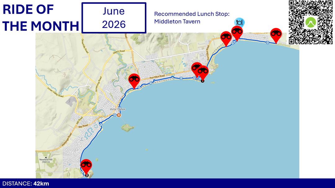 Ride of the Month: Whale Watching Coastal Ride