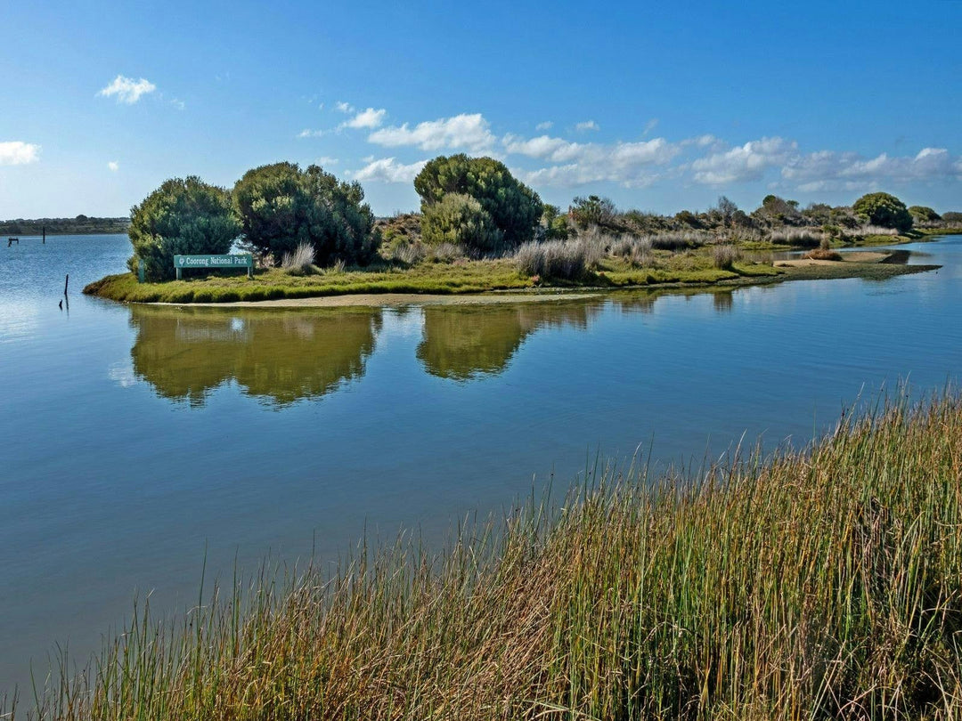 ide of the Month: Victor Harbor to Goolwa Coastal Cruise